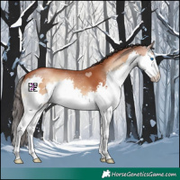 Horse Color:Bay Onyx Splash