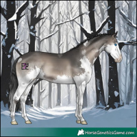 Horse Color:Blue Onyx Splash