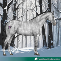Horse Color:Blue Ice Roan