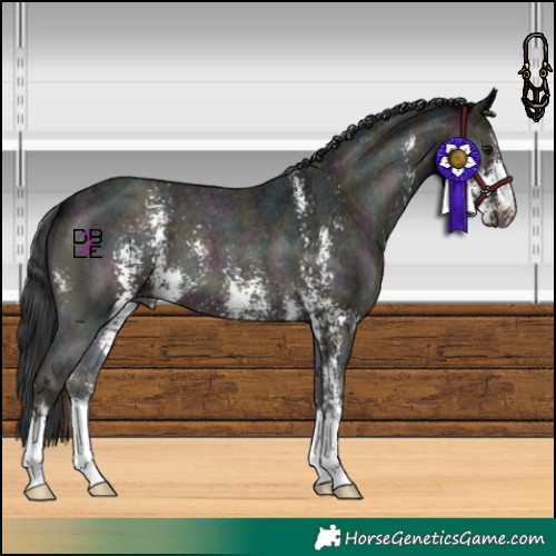 Horse Color:Midnight Blue Onyx Sabino Varnish 