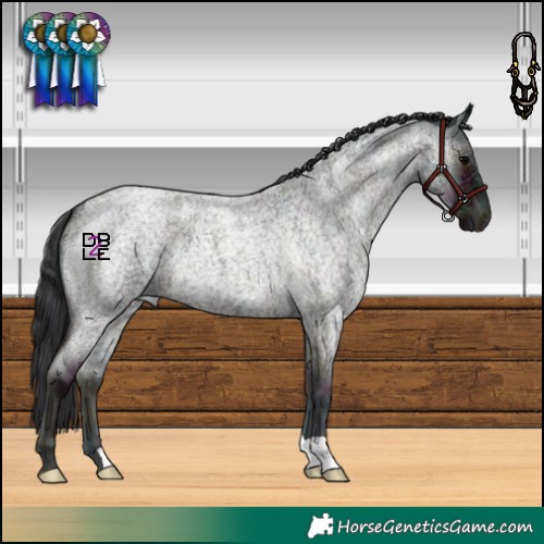 Horse Color:Midnight Blue Onyx Ice Roan 