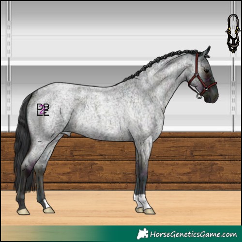 Horse Color:Midnight Blue Onyx Ice Roan 