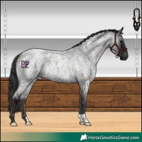 Horse Color:Midnight Blue Onyx Ice Roan 
