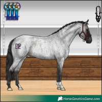 Horse Color:Midnight Blue Onyx Ice Roan 