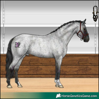 Horse Color:Midnight Blue Onyx Ice Roan 