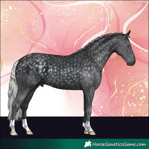 Horse Color:Silver Black Chinchilla 