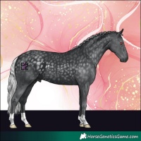 Horse Color:Silver Black Chinchilla 