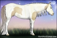 Horse Color:Grullo Pearl Splash Tobiano