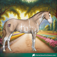 Horse Color:Black Pearl Sabino Splash