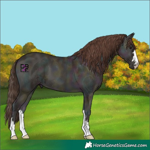 Horse Color:Midnight Classic Champagne Ice Onyx 