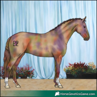 Horse Color:Nacre Red Dun