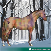 Horse Color:Nacre Red Dun 