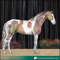 Horse Color:Nacre Chocolate Palomino Dun Splash Tobiano 