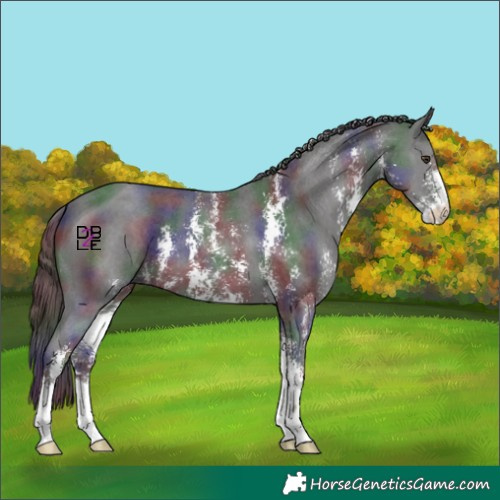 Horse Color:Nacre Liver Chestnut Sabino 