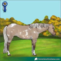 Horse Color:White Spotted Silver Brown Dun Tobiano
