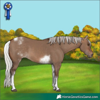 Horse Color:White Spotted Silver Brown Dun Tobiano