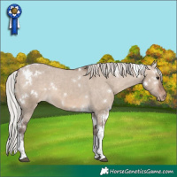 Horse Color:White Spotted Silver Brown Dun Tobiano Varnish 