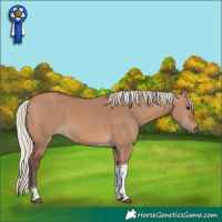 Horse Color:Silver Brown Dun Tobiano