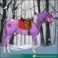 Horse Color:Watercolor Gold Champagne Sabino Tobiano 