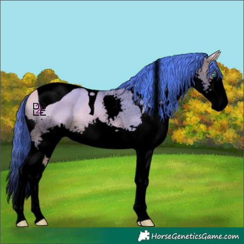 Horse Color:Void Watercolor Buckskin Dun Splash Tobiano 