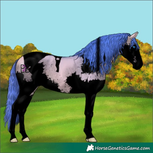Horse Color:Void Watercolor Buckskin Dun Splash Tobiano 