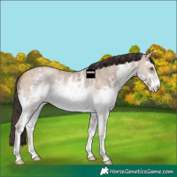 Horse Color:White Spotted Amber Champagne Ice Sabino 
