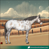 Horse Color:Liver Red Onyx Roan Blanket