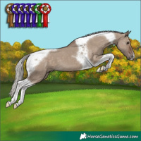 Horse Color:Silver Grullo Tobiano 