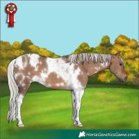 Horse Color:White Spotted Silver Brown Dun Tobiano 