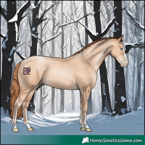 Horse Color:Sable Champagne Pearl 