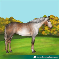 Horse Color:Gray Chocolate Palomino 