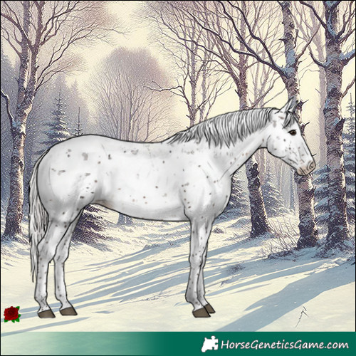 Horse Color:Silver Brown Sabino 