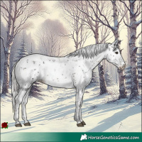 Horse Color:Silver Brown Sabino