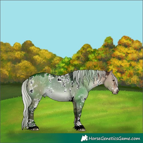 Horse Color:White Spotted Silver Brown Dun 
