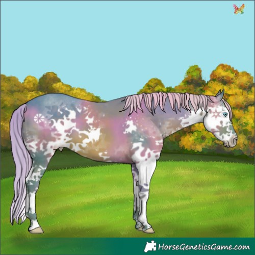 Horse Color:Watercolor Liver Chestnut Splash 