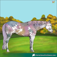 Horse Color:Watercolor Liver Chestnut Splash