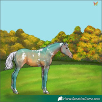 Horse Color:Watercolor White Spotted Silver Brown