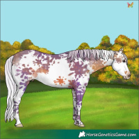 Horse Color:Watercolor White Spotted Silver Brown Splash 