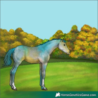 Horse Color:Watercolor Brown Tobiano