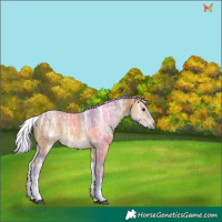 Horse Color:Watercolor White Spotted Silver Bay Ice