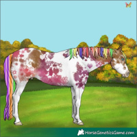 Horse Color:Painted Chocolate Palomino Splash Tobiano