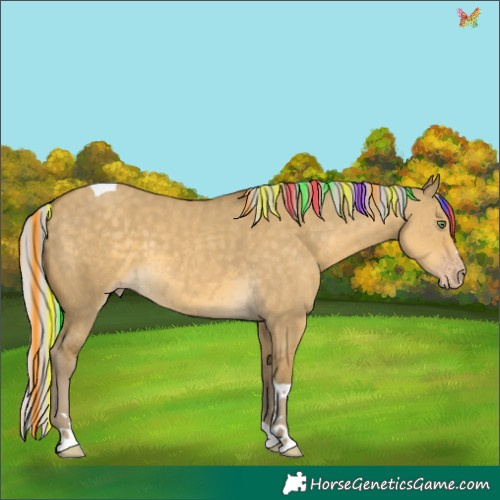 Horse Color:Painted Silver Classic Cream Champagne Dun Tobiano 