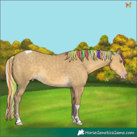 Horse Color:Painted Silver Classic Cream Champagne Dun Tobiano 