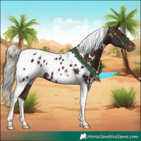 Horse Color:White Spotted Silver Brown Tobiano Blanket 