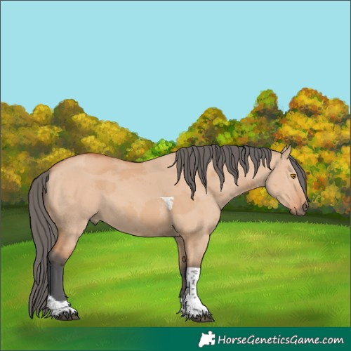 Horse Color:Bay Dun Merle Tobiano 