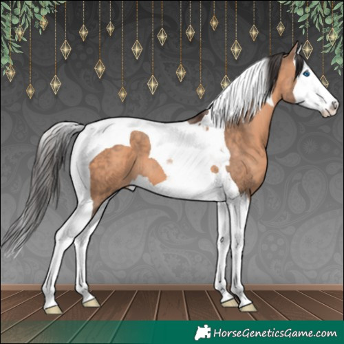Horse Color:Brown Dun Splash Tobiano