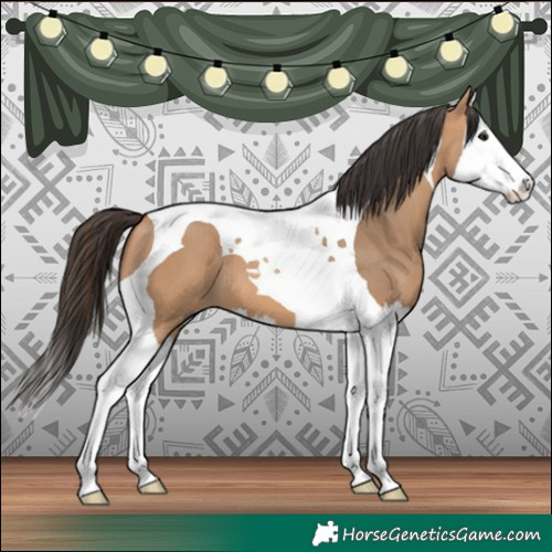 Horse Color:Bay Dun Splash Tobiano 