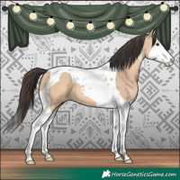 Horse Color:Bay Dun Splash Tobiano 
