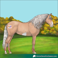 Horse Color:Silver Amber Champagne Frame 