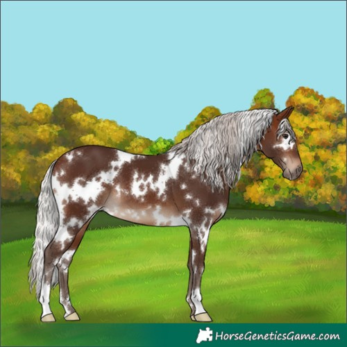 Horse Color:White Spotted Silver Brown 